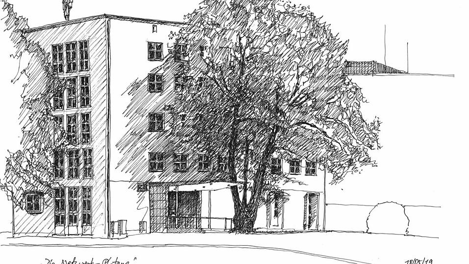 Stadtzeichnung als Portrait eines wertvollen Hausbaumes. Stadtzeichnung als Portrait eines wertvollen Hausbaumes.