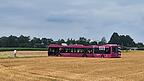 Wo der Bus hinwollte, ist unklar. Aber dieses Feld zwischen Agendorf und Steinach dürfte es wohl eher nicht gewesen sein. Wo der Bus hinwollte, ist unklar. Aber dieses Feld zwischen Agendorf und Steinach dürfte es wohl eher nicht gewesen sein.