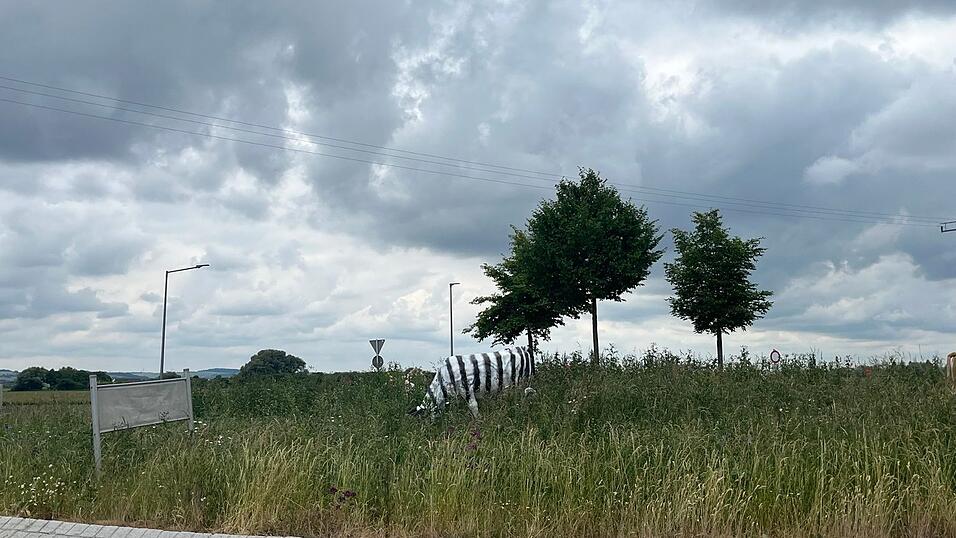 Eine der Kühe am Gottfriedinger Kreisel erinnert nun mehr an ein Zebra. Sie wurde mit schwarzen Streifen beschmiert.