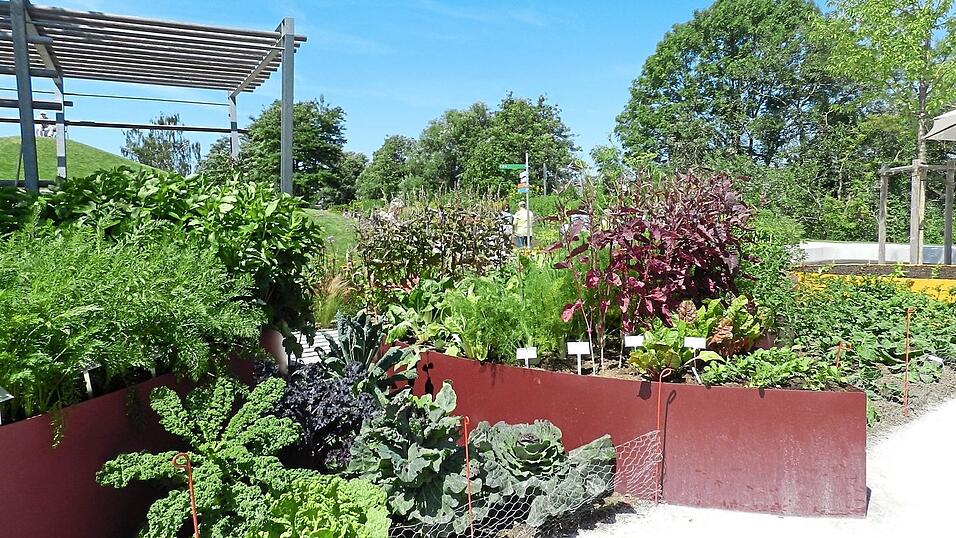 Ein Hochbeet ist auch ein Blickfang in einem Garten. Ein Hochbeet ist auch ein Blickfang in einem Garten.