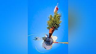 So flog der 3,8 Tonnen schwere Christbaum aus der Sicht einer 360 Grad-Kamera am Autokranhaken ein. So flog der 3,8 Tonnen schwere Christbaum aus der Sicht einer 360 Grad-Kamera am Autokranhaken ein.