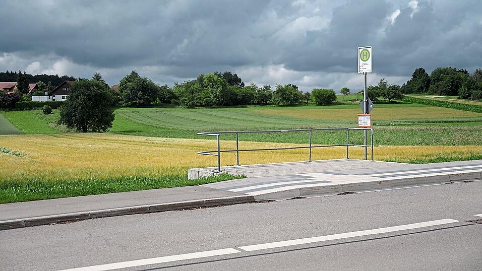 Die landkreiseigene Gesellschaft für Nahverkehr ist zufrieden mit den neuen Angeboten an Pendler, Schüler und andere Bürger.