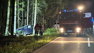 Die Feuerwehr &uuml;bernahm die Absicherung und Ausleuchtung der Unfallstelle bis zur Bergung des Fahrzeugs.