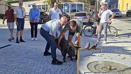 Gut 45 Kilo wiegt die Sau.