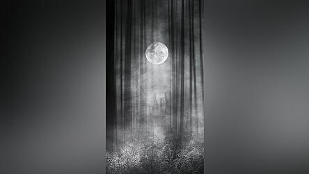 In den Rauhn&auml;chten zwischen dem 25. Dezember und dem 6. Januar sollen die Tore zu einer &bdquo;Anderswelt&ldquo; ge&ouml;ffnet sein. Viele Mythen und Br&auml;uche ranken sich um diese zw&ouml;lf N&auml;chte.