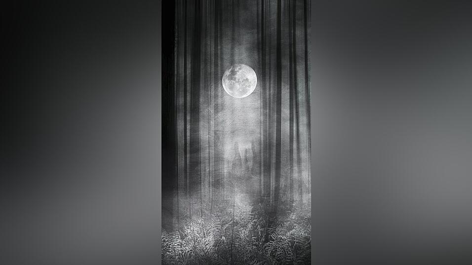 In den Rauhnächten zwischen dem 25. Dezember und dem 6. Januar sollen die Tore zu einer „Anderswelt“ geöffnet sein. Viele Mythen und Bräuche ranken sich um diese zwölf Nächte. In den Rauhnächten zwischen dem 25. Dezember und dem 6. Januar sollen die Tore zu einer „Anderswelt“ geöffnet sein. Viele Mythen und Bräuche ranken sich um diese zwölf Nächte.