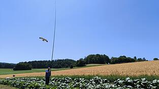 Gemüsebauer Helmut Ettl gibt dem Pappvogel auf seinem Feld wieder etwas mehr „Leine“.