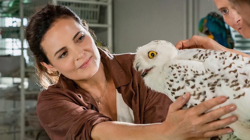 Elisabeth Lanz spielt schon seit 2006 die Tier&auml;rztin Dr. Susanne Mertens f&uuml;r die ARD. (Archivbild)