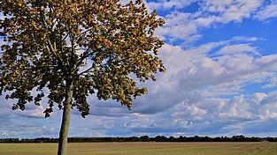 Vielen Menschen in Deutschland stehen sonnige Herbsttage bevor. Vielen Menschen in Deutschland stehen sonnige Herbsttage bevor.