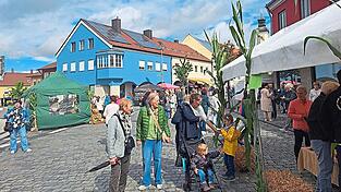 Zum Herbstmarkt im Rahmen des Wein- und Kürbisfestes kamen zahlreiche Besucher.