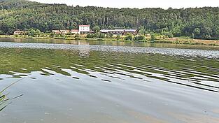 Noch sind Blaualgen im Drachensee kein gr&ouml;&szlig;eres Problem.