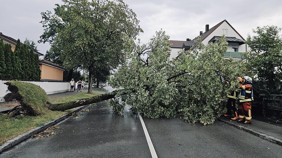 Auch die Freiwillige Feuerwehr Moosburg hatte zahlreiche Einsätze im Stadtgebiet zu bewältigen. Auch die Freiwillige Feuerwehr Moosburg hatte zahlreiche Einsätze im Stadtgebiet zu bewältigen.