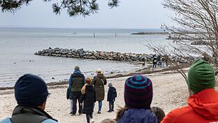 Das Schicksal des Buckelwals bewegt viele Menschen.