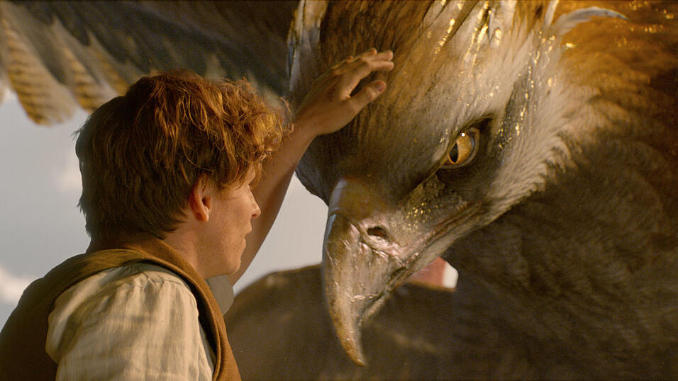 Newt Scamander (Eddie Redmayne) und Thunderbird