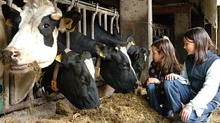 In den Pfingstferien kommen viele Familien nach Ostbayern, um Urlaub zu machen. Vor allem während der Corona-Pandemie ist die Anzahl der Urlauber in der Region angestiegen.
