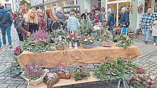 Herbstdeko für Haus und Garten aus haltbarem Grün und bunten Blüten. Herbstdeko für Haus und Garten aus haltbarem Grün und bunten Blüten.