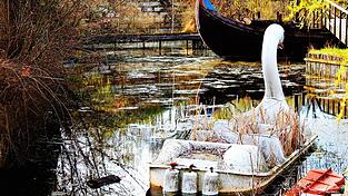 Diese verfallene Schwangondel steht im Spree-Park in Berlin. Diese verfallene Schwangondel steht im Spree-Park in Berlin.