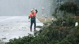 Sturm und Verw&uuml;stung brachte 'Herwart' in ganz Deutschland mit sich.