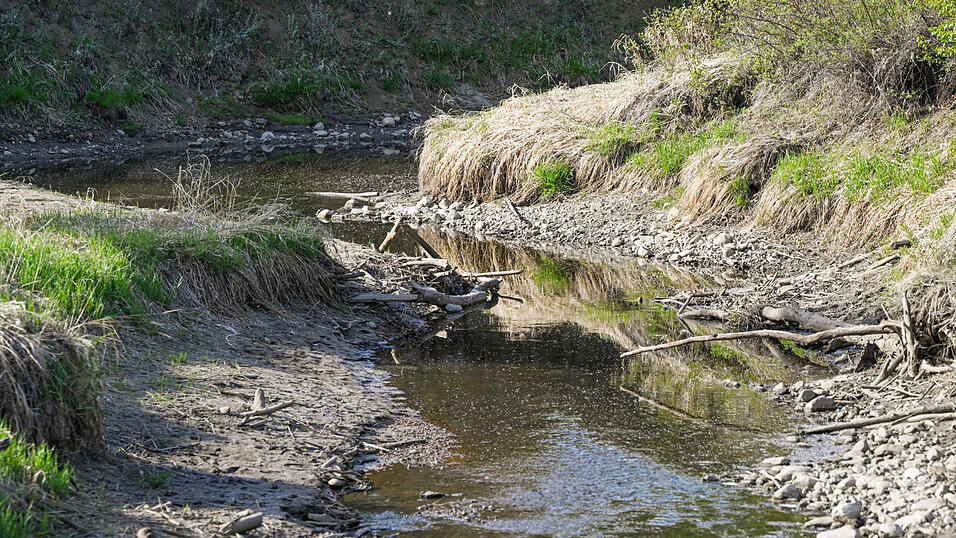 Gewässer in der Region führen schon im Mai relativ wenig Wasser - das setzt auch dem Waldboden zu. Gewässer in der Region führen schon im Mai relativ wenig Wasser - das setzt auch dem Waldboden zu.