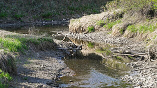Gew&auml;sser in der Region f&uuml;hren schon im Mai relativ wenig Wasser - das setzt auch dem Waldboden zu.