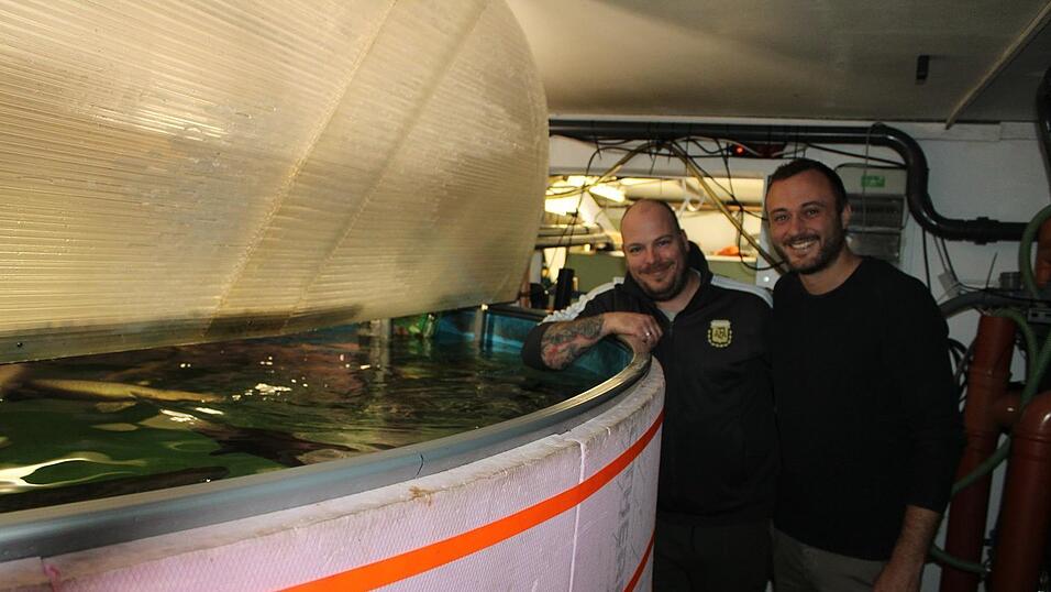 Dominik Schmaderer (links) und Benedikt Burger vor einem Zuchtbecken, das im Keller eines ehemaligen Supermarktes untergebracht ist. Dominik Schmaderer (links) und Benedikt Burger vor einem Zuchtbecken, das im Keller eines ehemaligen Supermarktes untergebracht ist.