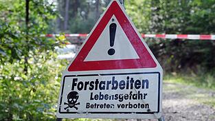 Trotz Absperrband und Warnschildern kam es zum t&ouml;dlichen Unfall bei Forstarbeiten. (Symbolbild)
