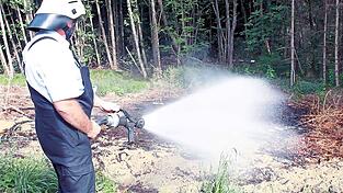 Zu einem Waldbrand kam es am Mittwoch, 17. August, in der N&auml;he von Hengersberg.