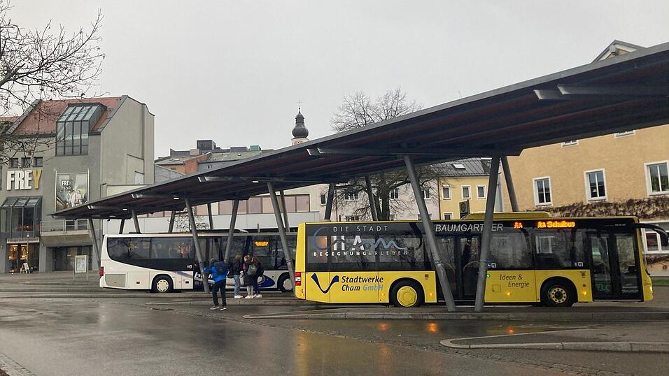 Mit dem Deutschlandticket k&ouml;nnen die Fahrsch&uuml;ler in jeden Bus und jeden Zug einsteigen. Mit einem einfachen Busfahrschein hingegen sind sie auf die Schulbusse beschr&auml;nkt.