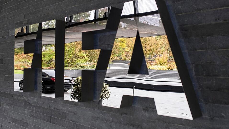 Die FIFA streicht einen als Video-Referee f&uuml;r die WM nominierten Niederl&auml;nder von der Schiedsrichter-Liste. (Archivbild)