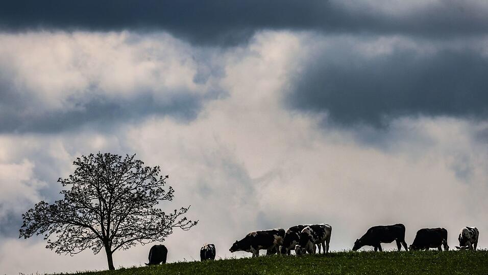 Zwischen dem Alpenrand und der Lausitz werden laut DWD am Montag teils starke Gewitter erwartet. (Archivbild)