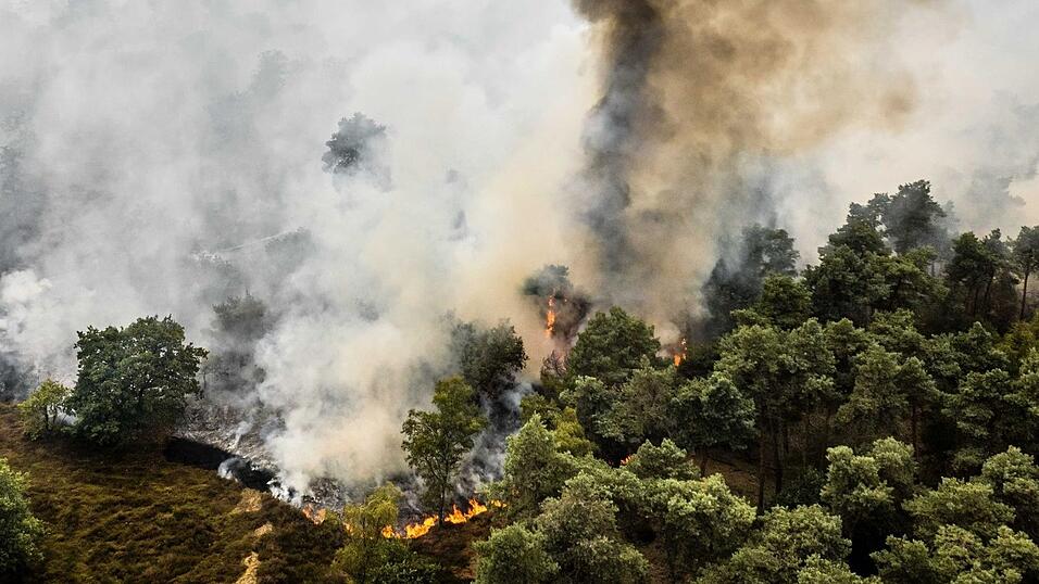 Nach anhaltender Trockenheit breiten sich die Flammen im Naturschutzgebiet De Rosmolen schnell aus. Nach anhaltender Trockenheit breiten sich die Flammen im Naturschutzgebiet De Rosmolen schnell aus.