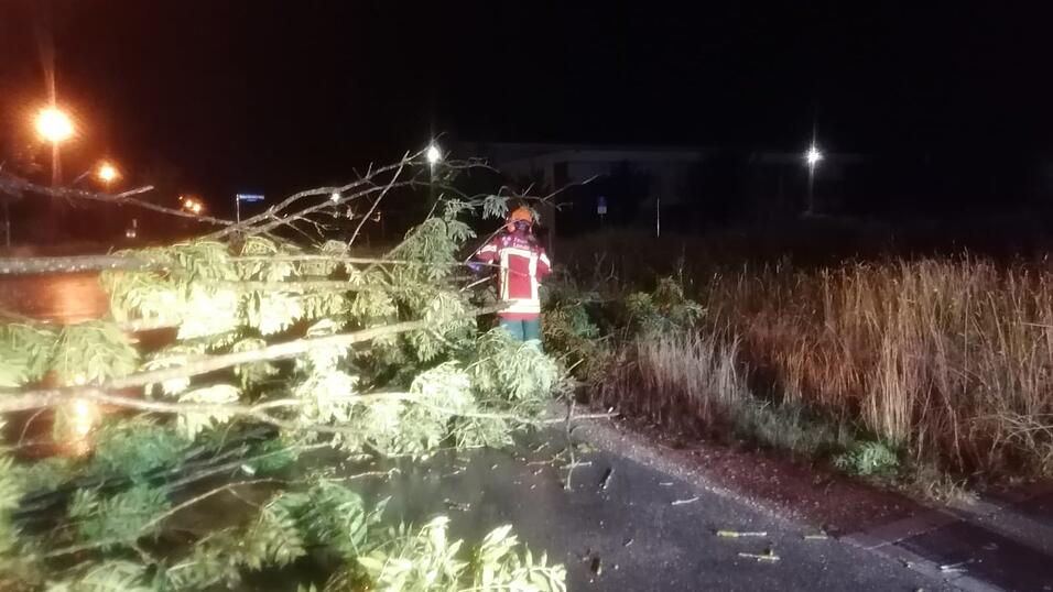 Mehr als 40 Eins&auml;tze hatten die L&ouml;schz&uuml;ge der Landshuter Feuerwehr im Zuge des Unwetters zu absolvieren.