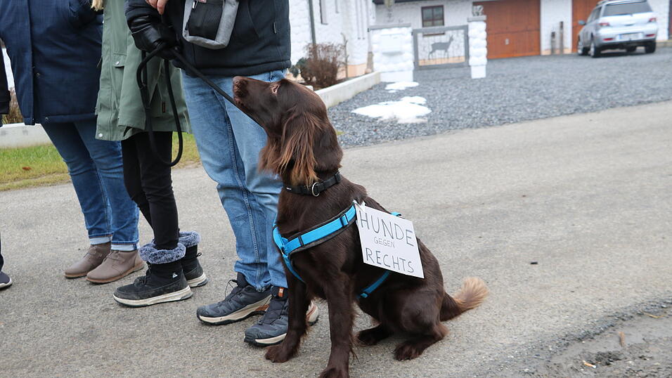 Auch ein Hund demonstrierte gegen den Krah-Auftritt. Auch ein Hund demonstrierte gegen den Krah-Auftritt.
