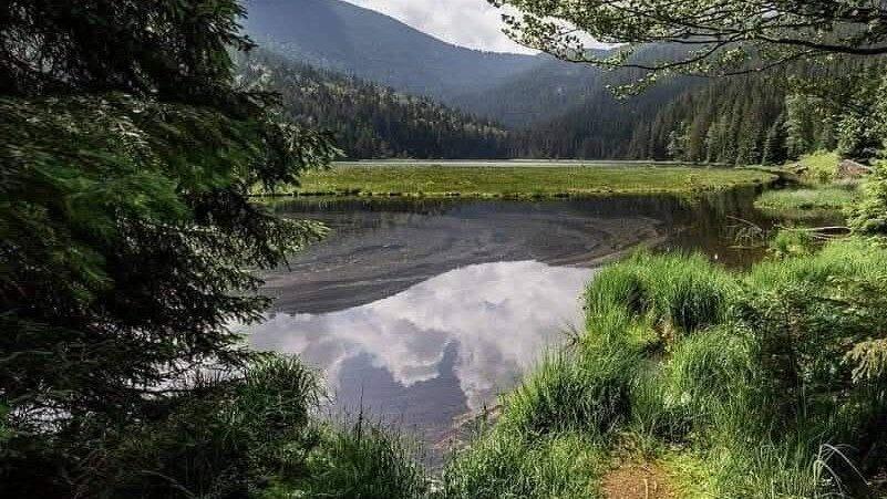 Fritz Wenzl sucht am Kleinen Arbersee nach Abkühlung. Fritz Wenzl sucht am Kleinen Arbersee nach Abkühlung.