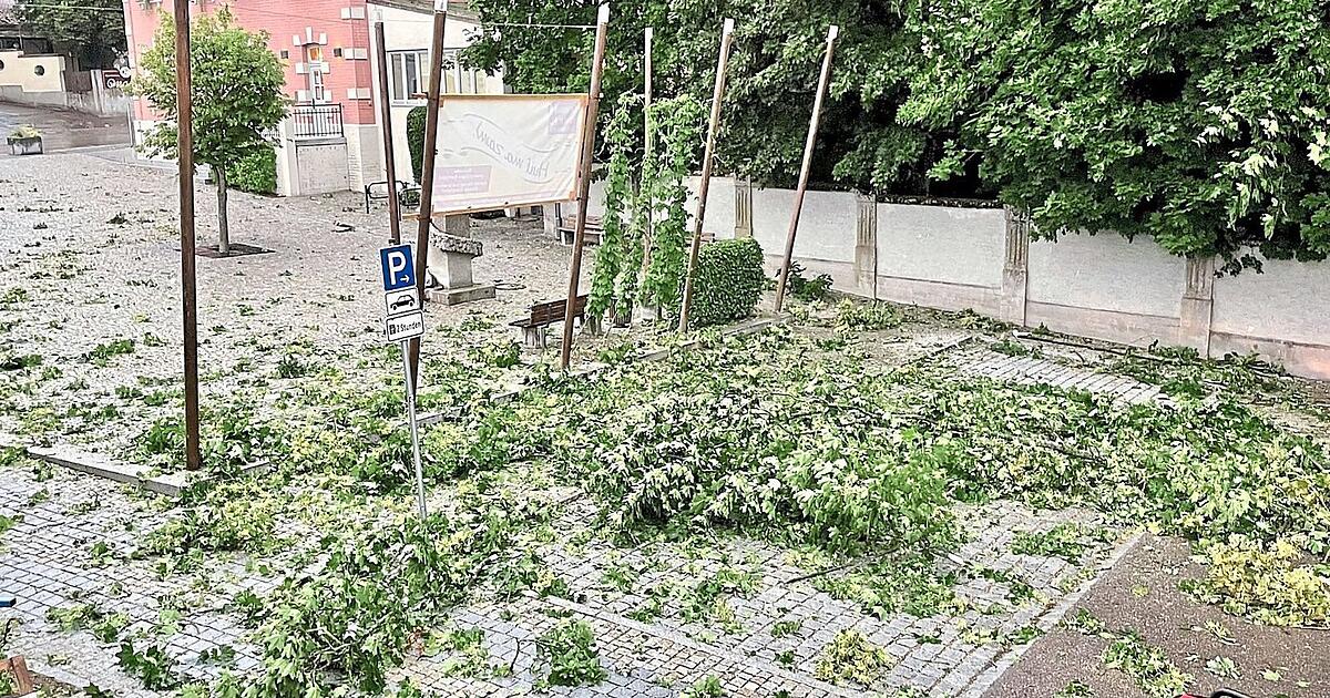 au in der hallertau wetter