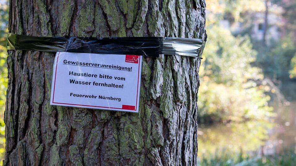 Nun wurden Warnschilder angebracht, Hunde sollen nicht mehr ins Wasser gelassen werden. Nun wurden Warnschilder angebracht, Hunde sollen nicht mehr ins Wasser gelassen werden.