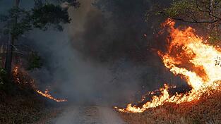 Flammen an einem Waldweg in unmittelbarer N&auml;he zum Ort H&uuml;rtgenwald.