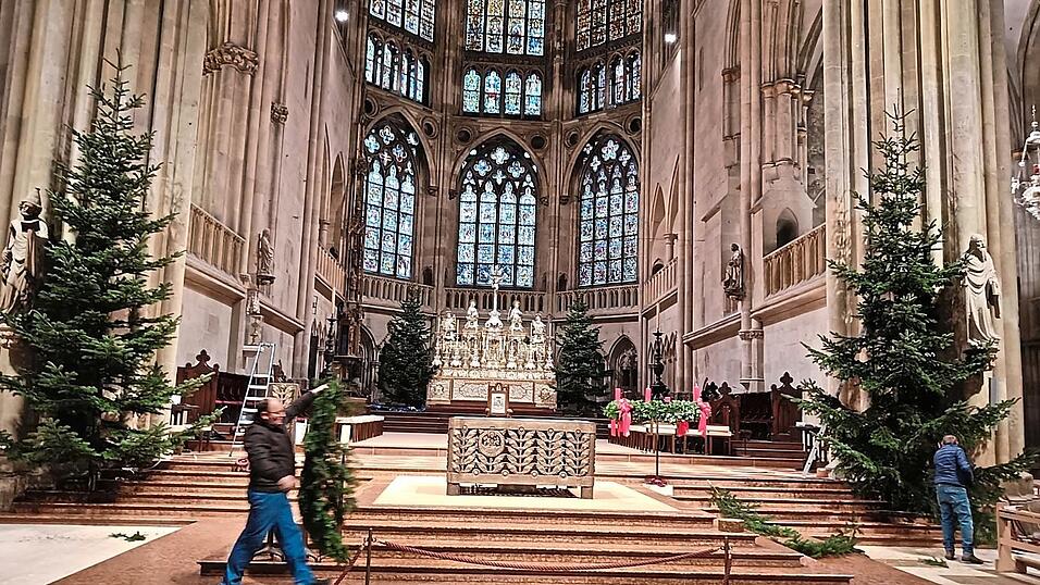 Die Tannen stehen, das aufwendige Schm&uuml;cken kann beginnen.