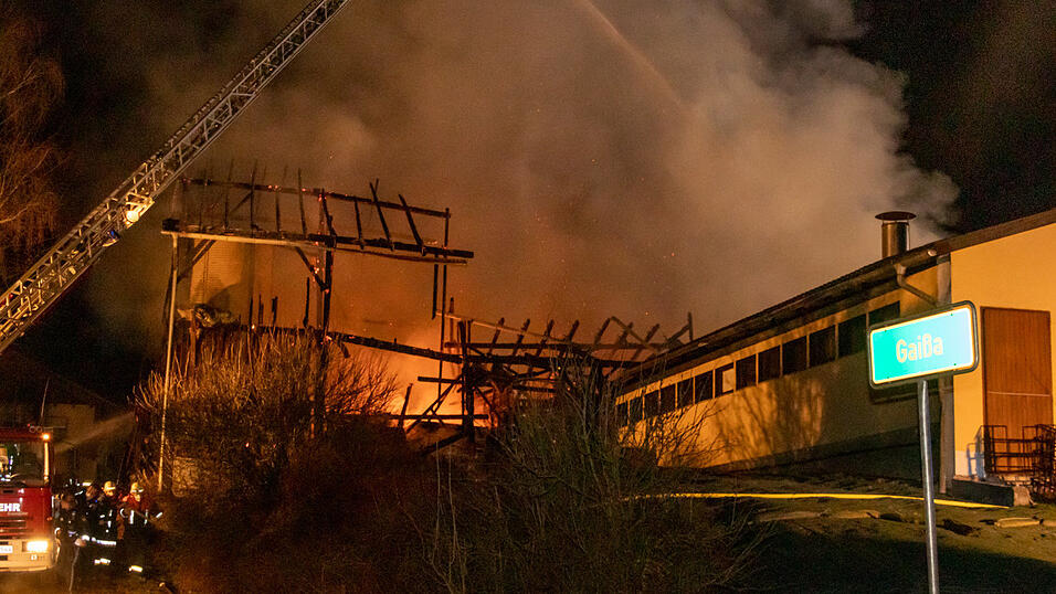 Mehrere Rinder sind bei einem Brand auf einem Bauernhof im Landkreis Deggendorf ums Leben gekommen.