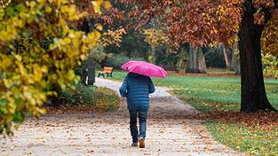 In den kommenden Tagen heißt es wieder: Regenschirm einpacken. In den kommenden Tagen heißt es wieder: Regenschirm einpacken.