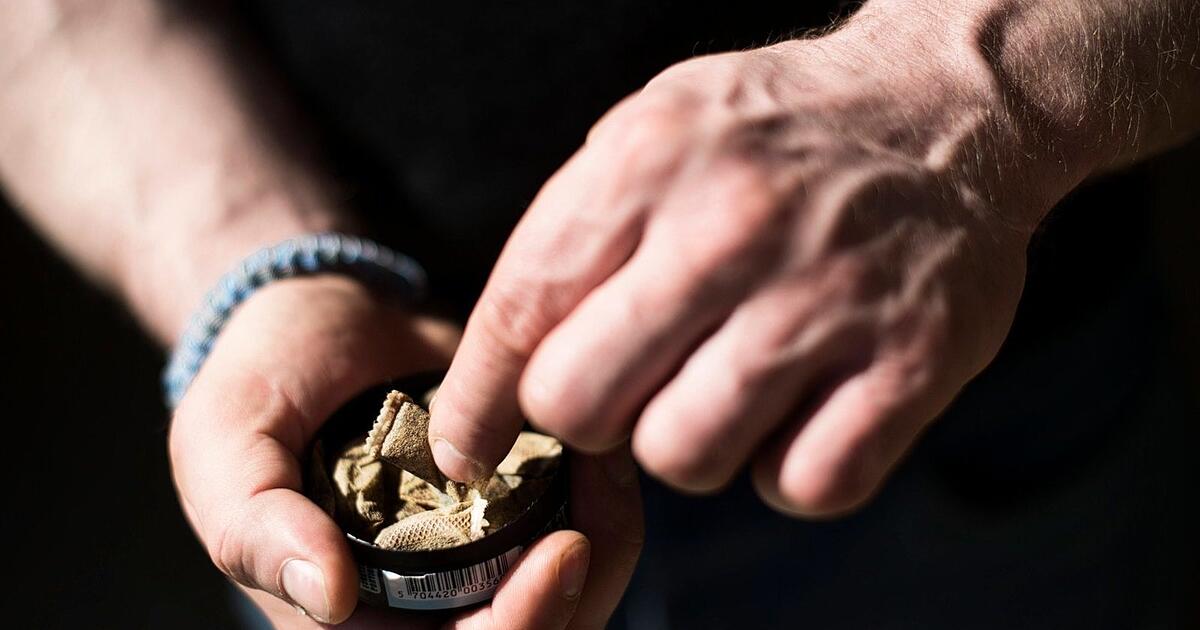 Darum ist der Verkauf von Snus in Deutschland verboten