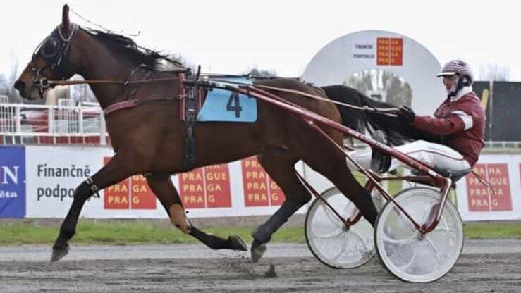 Geineder tritt auch bei Rennen im Ausland an, hier in Prag.