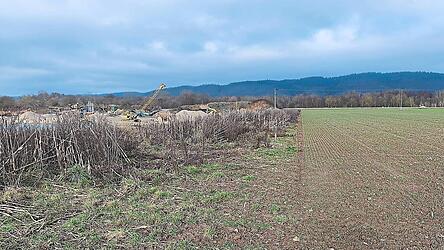 Der Kiesgrubenbetreiber muss nun die ordnungsgemäßen Grenzabstände, zehn Meter zu den Ackerflächen und dem Feldweg sowie 20 Meter zur Kreisstraße, wiederherstellen. Seit mehr als einem Jahr muss deshalb der angrenzende Landwirt den Grenzabstand erbringen. Ein zehn Meter breiter Streifen Ackerland liegt deshalb brach. Den Ernteausfall muss der Landwirt zivilrechtlich einklagen.