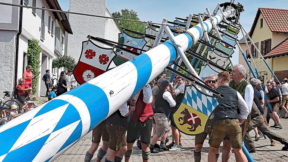 Beim Aufstellen des frisch aus dem Facelifting zurückgekehrten Maibaums in Thonstetten waren einmal mehr Muskelkraft und zahlreiche Helfer gefragt. Beim Aufstellen des frisch aus dem Facelifting zurückgekehrten Maibaums in Thonstetten waren einmal mehr Muskelkraft und zahlreiche Helfer gefragt.