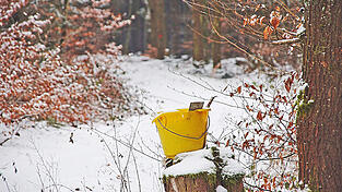 Mit einem Umspannwerk in diesem Waldst&uuml;ck bei Hungersacker k&ouml;nnten Anwohner &bdquo;z&auml;hneknirschend leben&ldquo;.