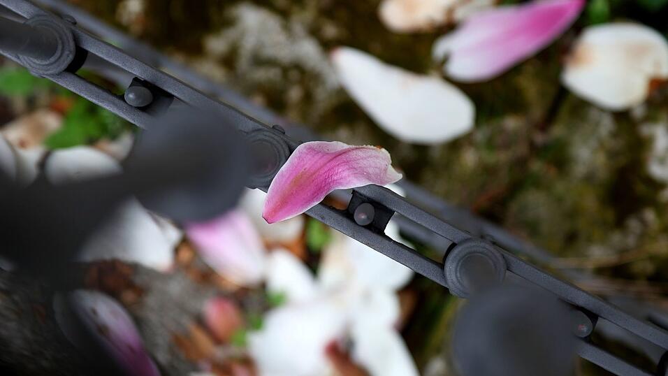 Nach einer fr&uuml;hlingshaften ersten Aprilwoche macht sich Regen breit.