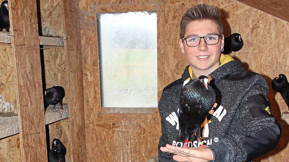 Fabian H&ouml;gerl hat ein besonderes Hobby: Er ist seit zehn Jahren Taubenz&uuml;chter. In Ausstellungen pr&auml;sentiert er regelm&auml;&szlig;ig seine schwarzen Stellerkr&ouml;pfer - auf seiner Hand sitzt einer mit wei&szlig;er Schnippe.