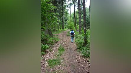 Wandern entspannt - auch auf hiesigen Wegen. Oder vielleicht da sogar noch mehr... Wandern entspannt - auch auf hiesigen Wegen. Oder vielleicht da sogar noch mehr...