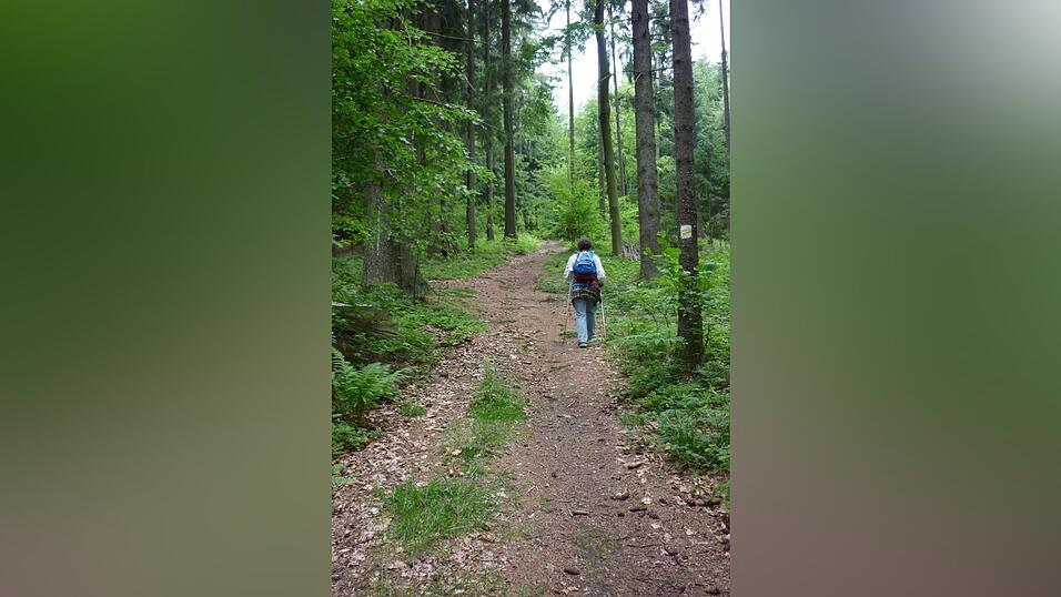 Wandern entspannt - auch auf hiesigen Wegen. Oder vielleicht da sogar noch mehr...
