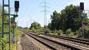 2023 hat die Bahn den Einsatz von Glyphosat eingestellt - und macht nun die Kehrtwende. (Archivbild) 2023 hat die Bahn den Einsatz von Glyphosat eingestellt - und macht nun die Kehrtwende. (Archivbild)